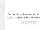 Patología cavidad bucal y glandulas salivales DR FONSECA