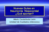 Neumonia nosocomial lobitoferoz13