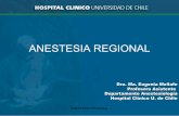 05 Anestesia Regional