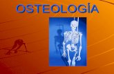 2  Osteolog­A