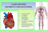 Tema 4 2 Aparato Circulatorio