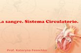 La sangre. sistema circulatorio