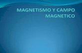 Magnetismo y campo magnetico