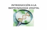 Biotecnología vegetal