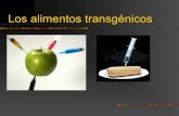 Transgenicos 2