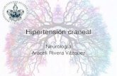 Hipertensión craneal, Hidrocefalia.