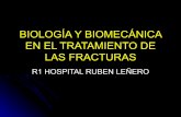 Biología y biomecánica en el tratamiento de las fracturas
