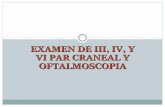 III, IV, VI Pares Craneales y oftalmoscopia
