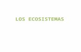 Ecosistema acuático: La Albufera de Valencia