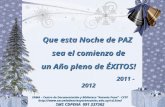 FELICES FIESTAS... PROSPERO AÑO 2012!