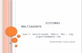 Sistemas Multiagente