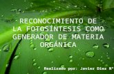 Reconocimiento De La Fotosíntesis Como Generador De Materia Orgánica