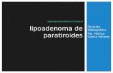 Lipoadenoma de paratiroides: variante infrecuente del adenoma paratiroideo.