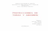 proyecciones de torax y abdomen...