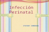 Infeccion perinatal