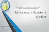 Revisión de la enfermedad inflamatoria del intestino