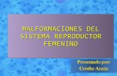 Malformaciones del sistema reproductor femenino por cristhy araúz