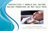 Perspectiva y manejo del recién nacido prematuro de