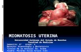 Miomatosis y adenomiosis