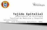 Histología - Tejido Epitelial