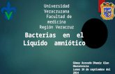 Bacterias  en el  liquido  amniotico