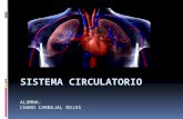 Sistema circulatorio expo