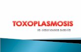 Toxoplasmosis jorge salazar alarcon
