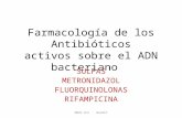 Antibiot Anti D N A  E N F 2008