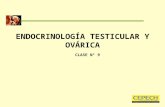 Clase 09; endocrinologia testicular y ovarica