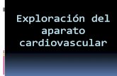 1 exploracion del aparato cardiovascular
