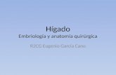 Embriologia y anatomia quirurgica de higado