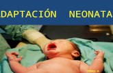 Adaptacion neonatal