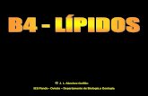 B4  lipidos pdf1