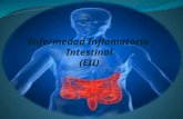 Presentacion inflamacion intestinal