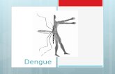 Dengue (1)