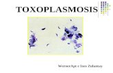 Clase toxoplasmosis