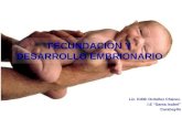 Fecundacion y desarrollo embrionario