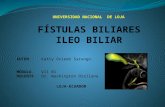Fístulas biliares