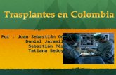 Trasplantes en colombia1