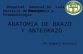 Seminario anatomia antebrazo 2012. Servicio de Ortopedia y  Traumatologia del Hospital Universitario "Dr. Luis Razetti" Barinas. Venezuela