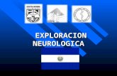 Exploracion neurologica ok