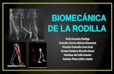 Biomecánica de la rodilla
