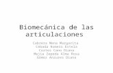Biomecnica de-las-articulaciones-1205282136126455-4 (pp tshar