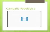 Podologia - Información para pacientes