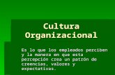 Eje nº 2 cultura organizacional