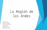 Presentación  región andina
