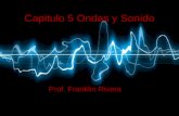 Capitulo 6 wave and sound