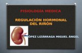 Fisiologìa renal: regulacion hormonal