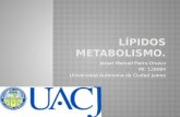 metabolismo de lipidos
