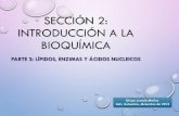 Bioquímica 02 lípidos